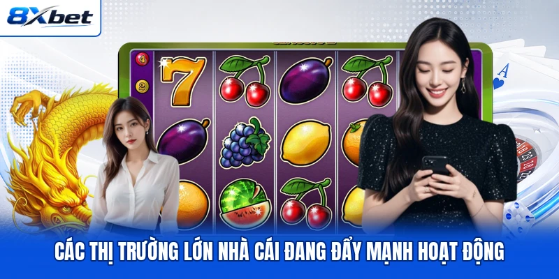 Các thị trường lớn nhà cái đang đẩy mạnh hoạt động