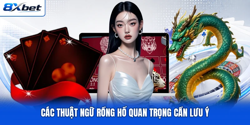 Các thuật ngữ Rồng Hổ quan trọng cần lưu ý Các thuật ngữ Rồng Hổ quan trọng cần lưu ý