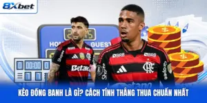 Kèo Đồng Banh Là Gì? Cách Tính Thắng Thua Chuẩn Nhất