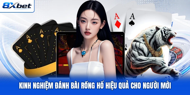 Kinh nghiệm đánh bài Rồng Hổ hiệu quả cho người mới Kinh nghiệm đánh bài Rồng Hổ hiệu quả cho người mới