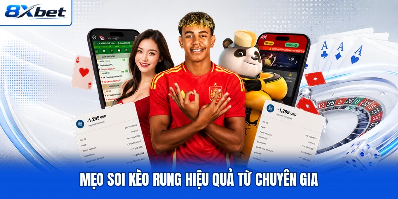 Mẹo soi kèo rung hiệu quả từ chuyên gia Mẹo soi kèo rung hiệu quả từ chuyên gia