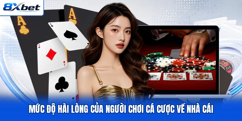 Mức độ hài lòng của người chơi cá cược về nhà cái Mức độ hài lòng của người chơi cá cược về nhà cái